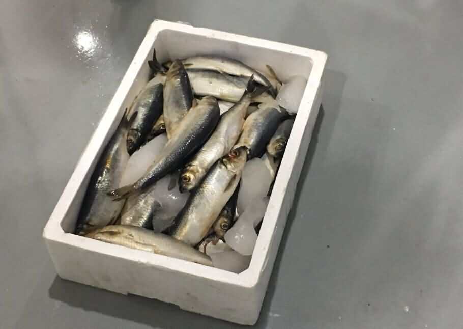 5cb44a570e528.jpg 5cb44a570e528.jpg